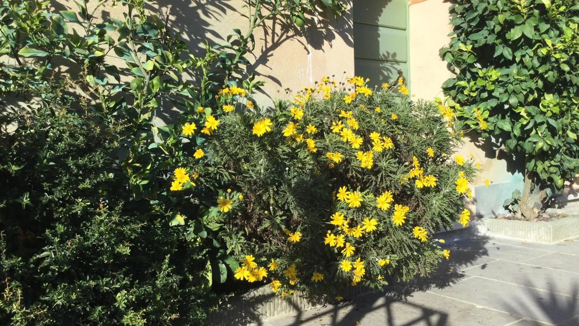 Casa Mita Con Pacchetto Mare Incluso Villa Camaiore